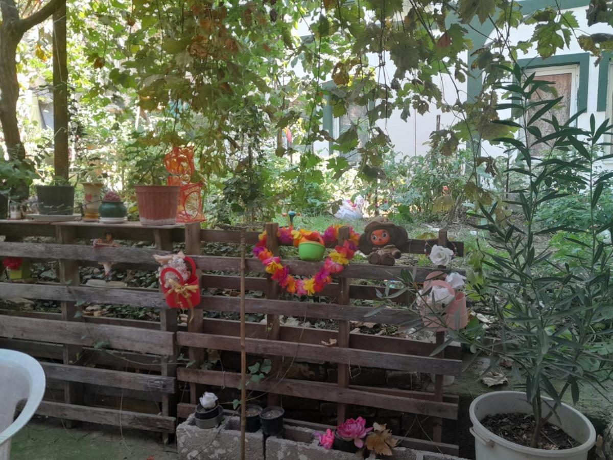 Bed and Breakfast Adem'S Cozy Terrace Retreat Скоп'є Екстер'єр фото